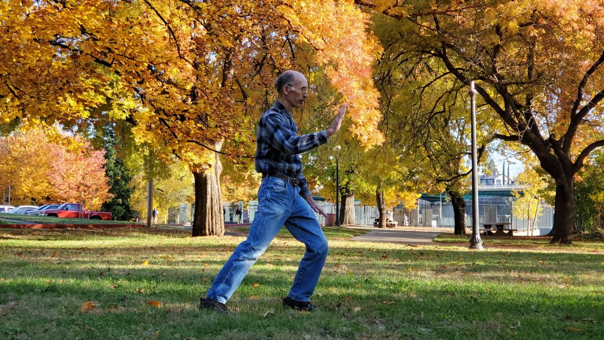 Redding Tai Chi, Brush Knee