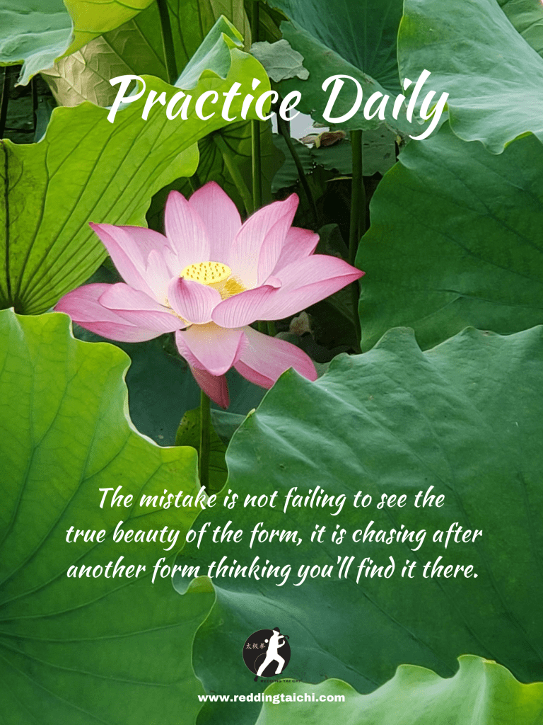 Redding Tai Chi:  Practice Daily...