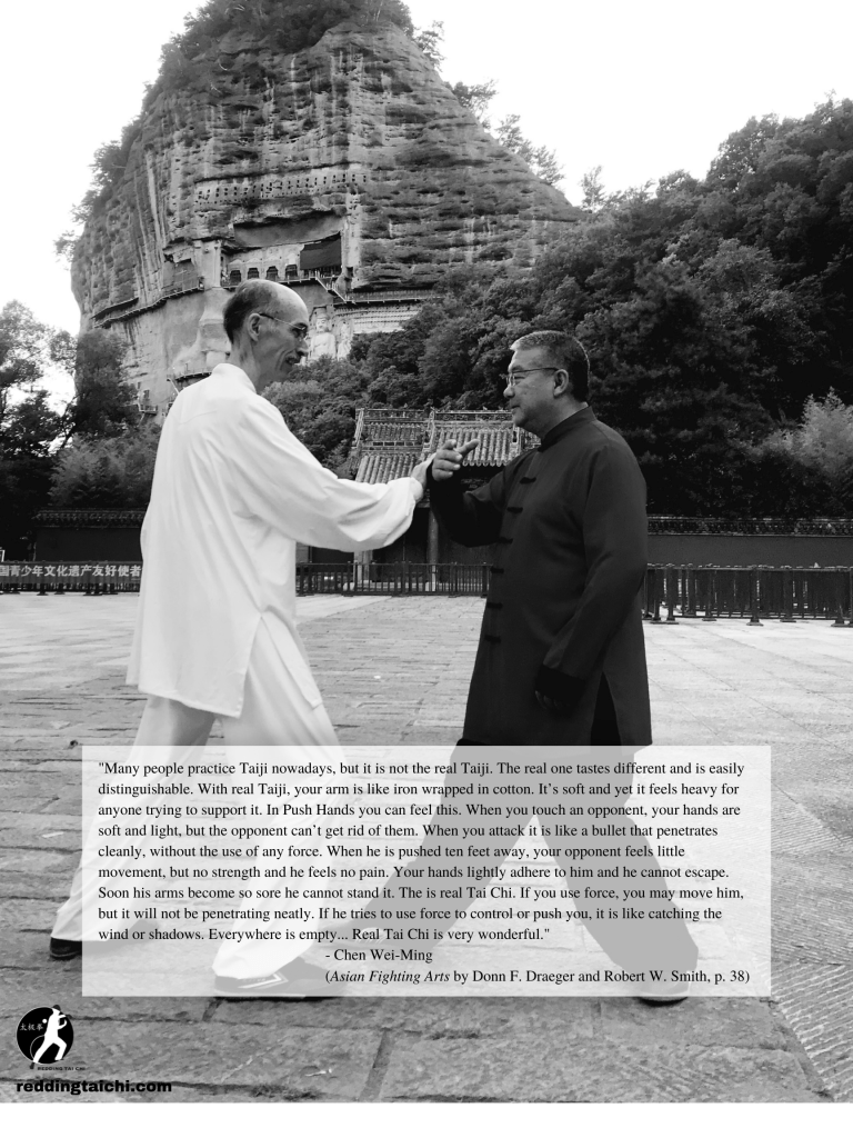 Redding Tai Chi: Maiji Shan push hands