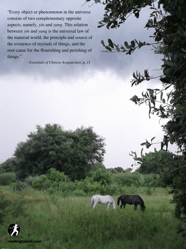 Redding Tai Chi: Yin/yang