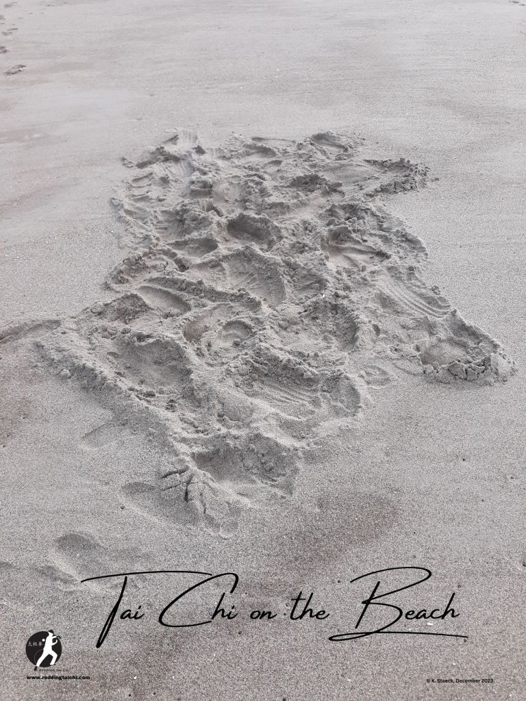 Redding Tai Chi
Tai Chi on the Beach
The Essence of Movement