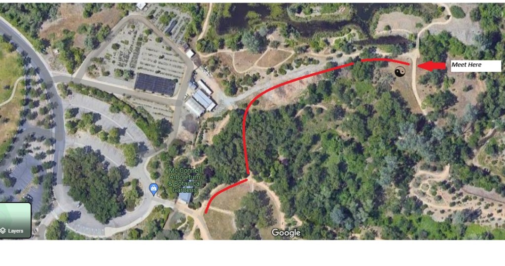 Saturday Tai Chi location