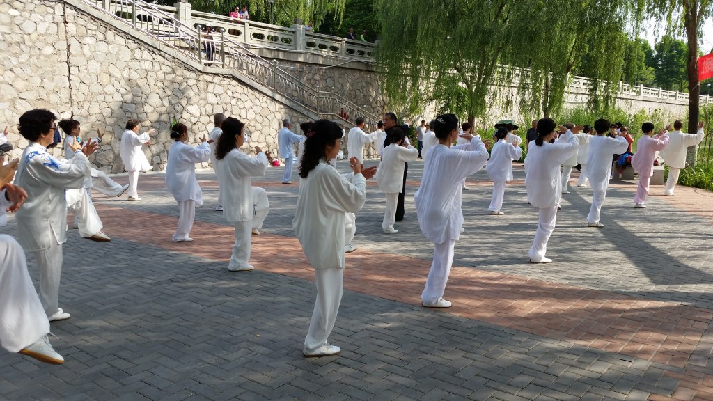 Master Wang Zhi Yong teaching his students Tai Chi in a park near the Yellow River, Lanzhou, China 2017. Picture copyright Redding Tai Chi.