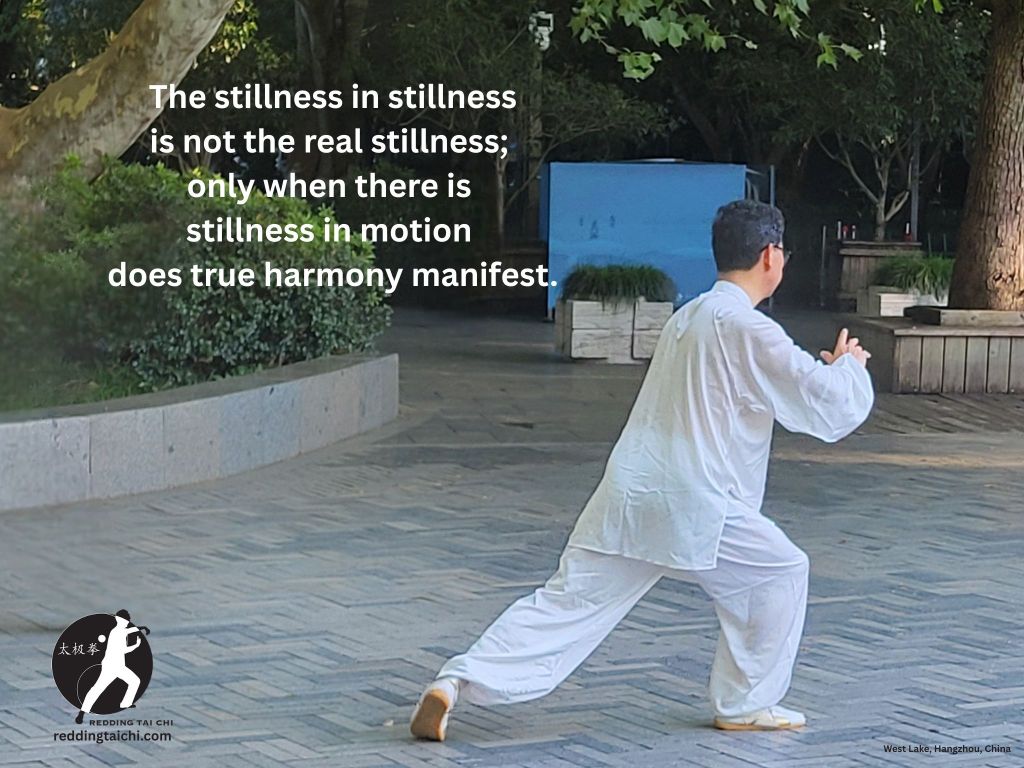 Stillness in Stillness